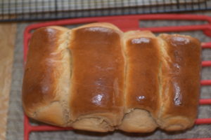 Japanese Milk Bread